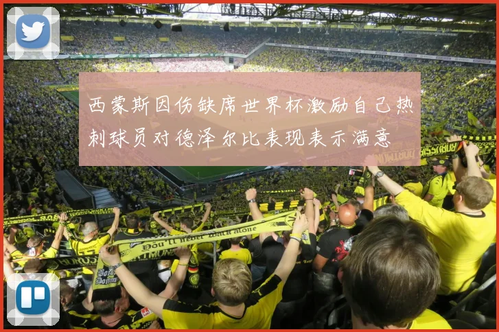 西蒙斯因伤缺席世界杯激励自己热刺球员对德泽尔比表现表示满意