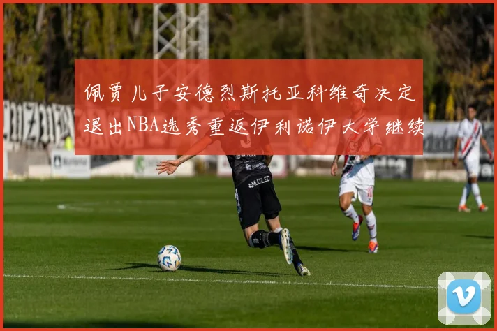 佩贾儿子安德烈斯托亚科维奇决定退出NBA选秀重返伊利诺伊大学继续学业